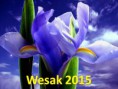 /album/galleria-fotografica/wesak-2015-jpg1/